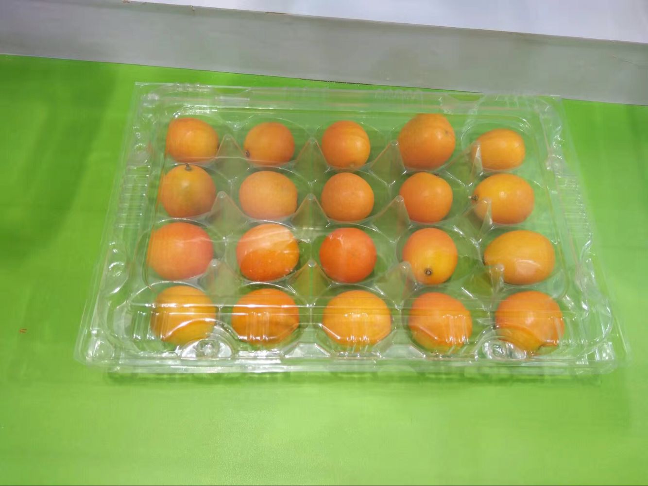 一次性塑料托盤(pán)